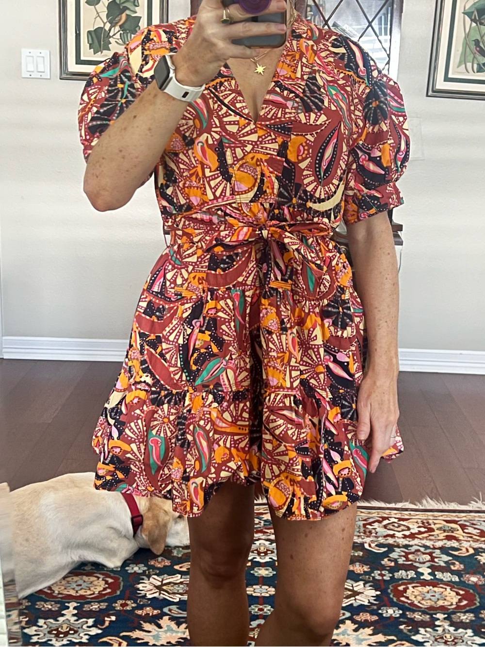 ALC Short Tie-Waist Printed Dress in Multicolor